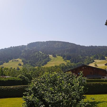 Apartmán Studio Praz Sur Arly Exteriér fotografie